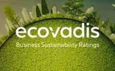 EcoVadis认证难做吗
