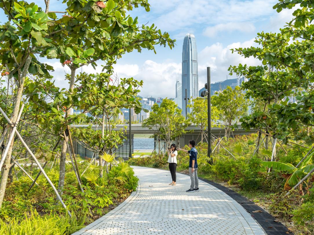 SBTi新规发布：企业碳减排的最新指南
