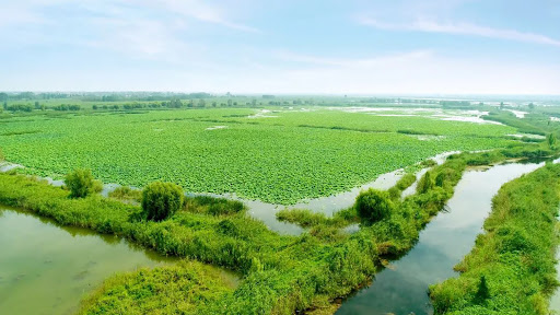 企业如何通过RMI的尽职调查标准满足欧盟电池法规？