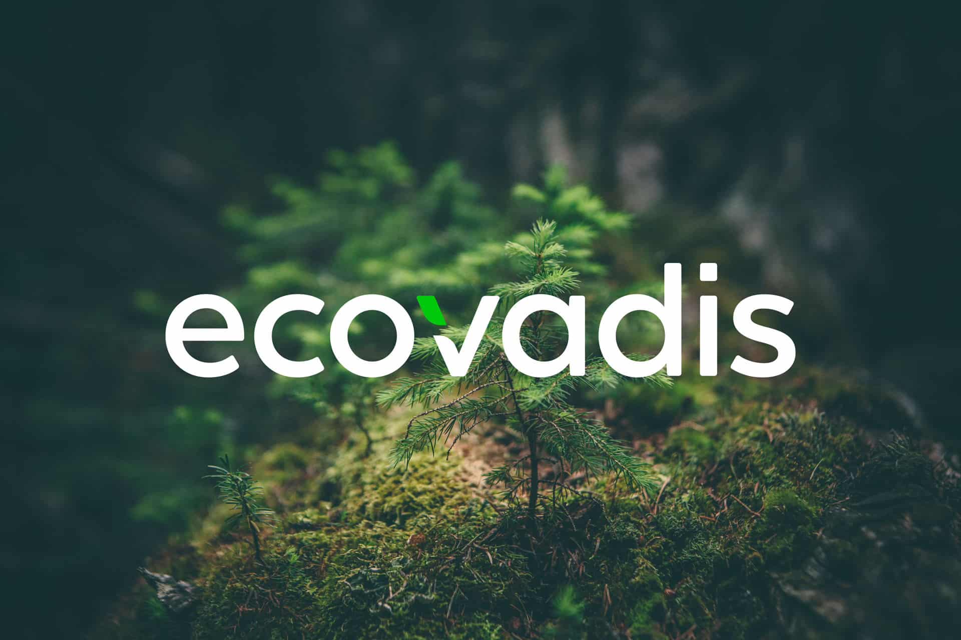 TFS还是EcoVadis?化工企业的可持续发展该选谁？
