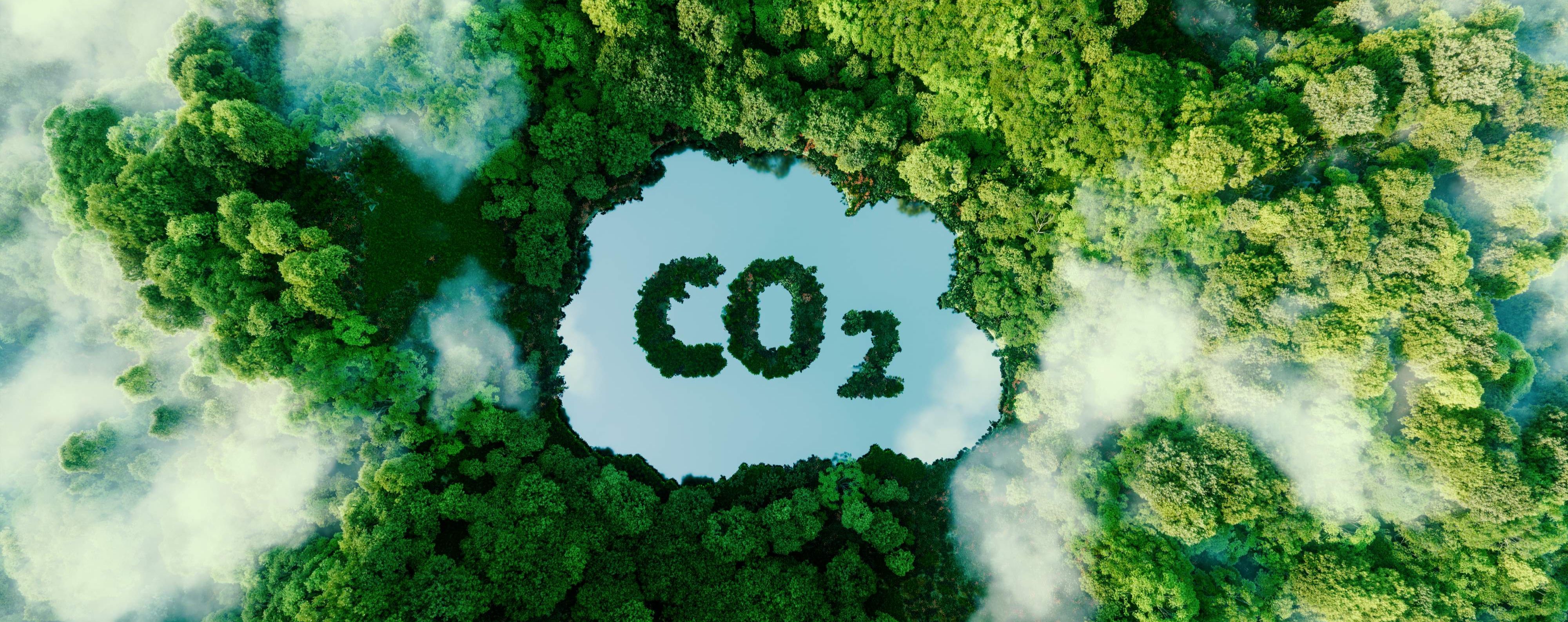 CDP评分结果如何影响企业投资吸引力？