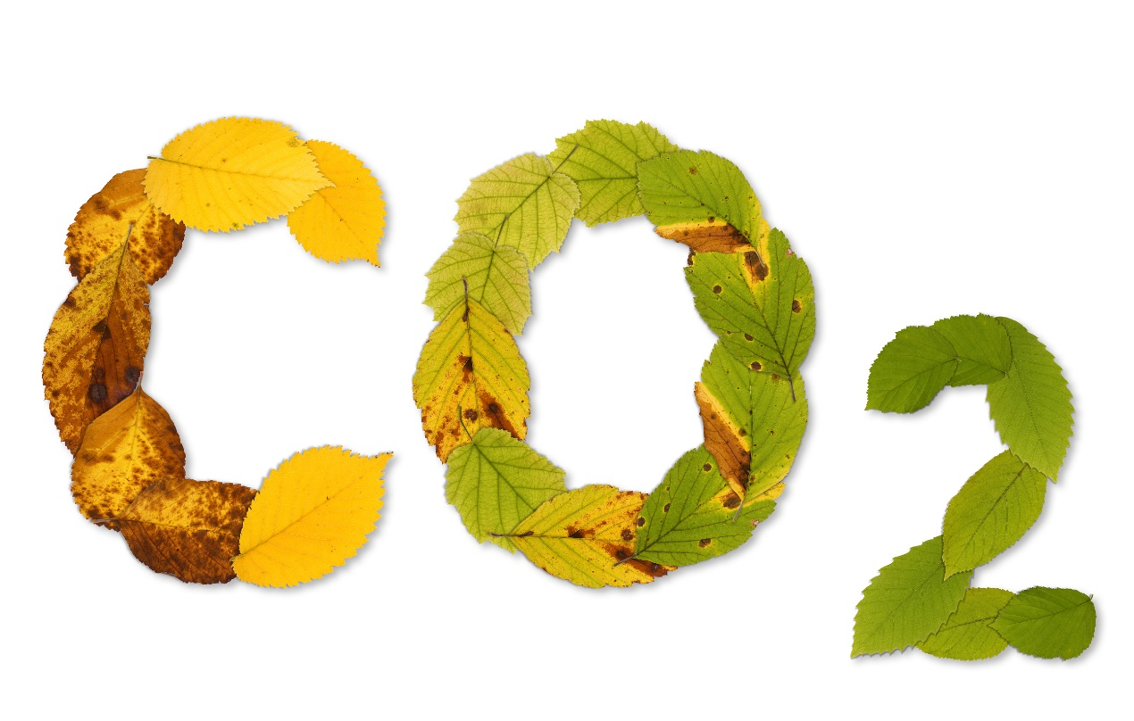 亚太地区ASI认证增长迅猛的三大动因