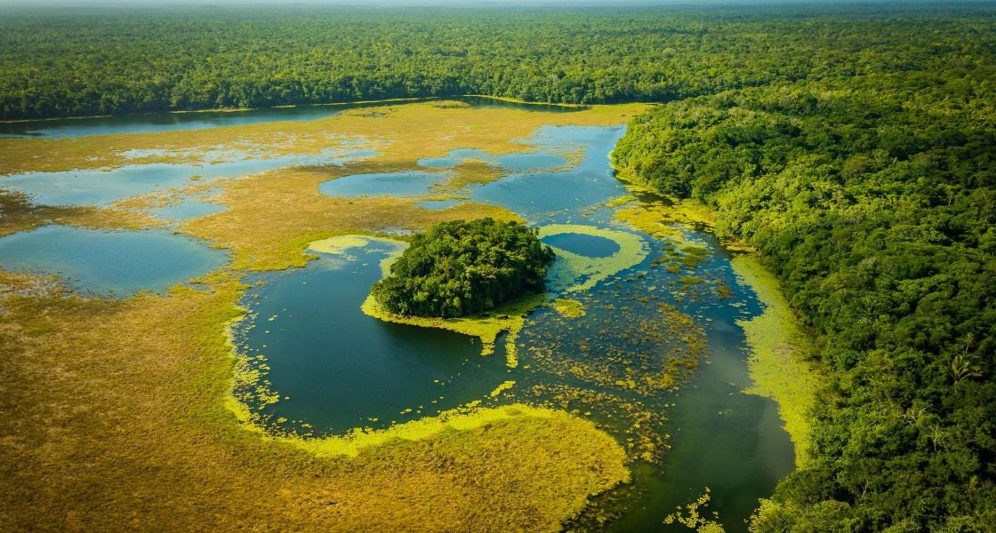 SBTi目标设定常见误区及纠正建议 SBTi目标设定常见误区及纠正建议