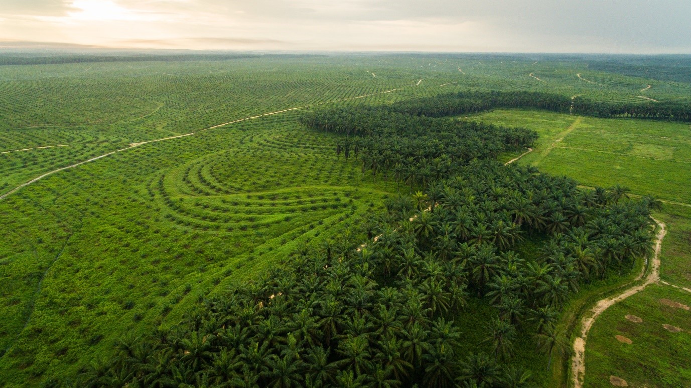 SBTi目标设定与企业内部碳管理系统集成方案 SBTi目标设定与企业内部碳管理系统集成方案