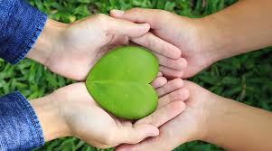 2025年EUDR实施细则变化及企业应对措施 2025年EUDR实施细则变化及企业应对措施