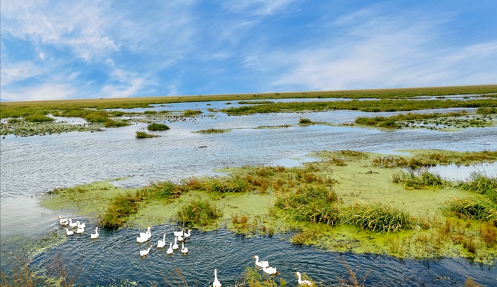 EUDR合规与质量管理体系的融合路径 EUDR合规与质量管理体系的融合路径
