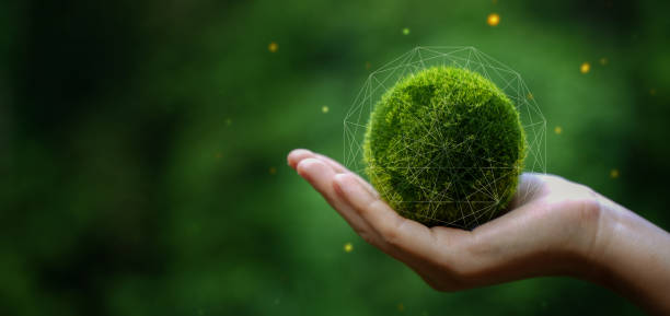 缩短评估周期：优化CyberVadis准备流程的实用建议