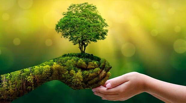 针对不同规模企业:CyberVadis评估的侧重点与应对策略 针对不同规模企业:CyberVadis评估的侧重点与应对策略