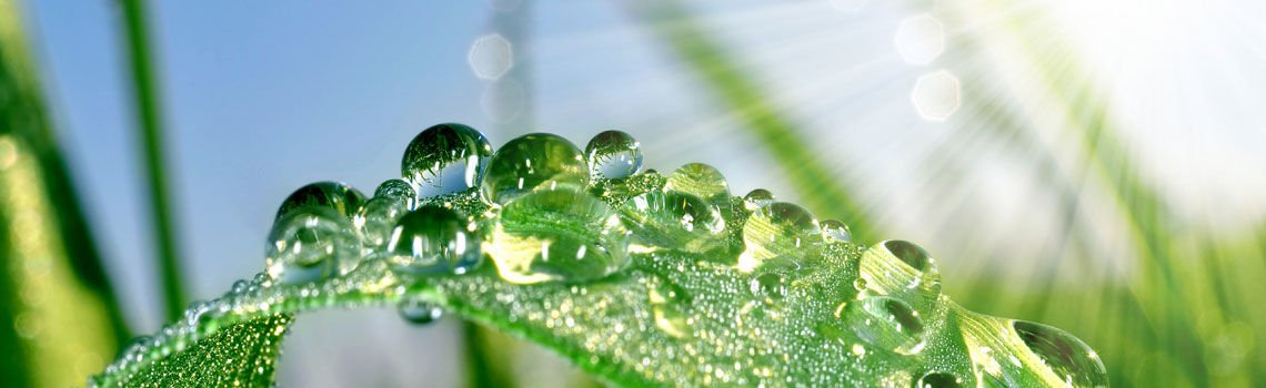 收到客户cybervadis评估邀请?企业第一步应该做什么 收到客户cybervadis评估邀请?企业第一步应该做什么