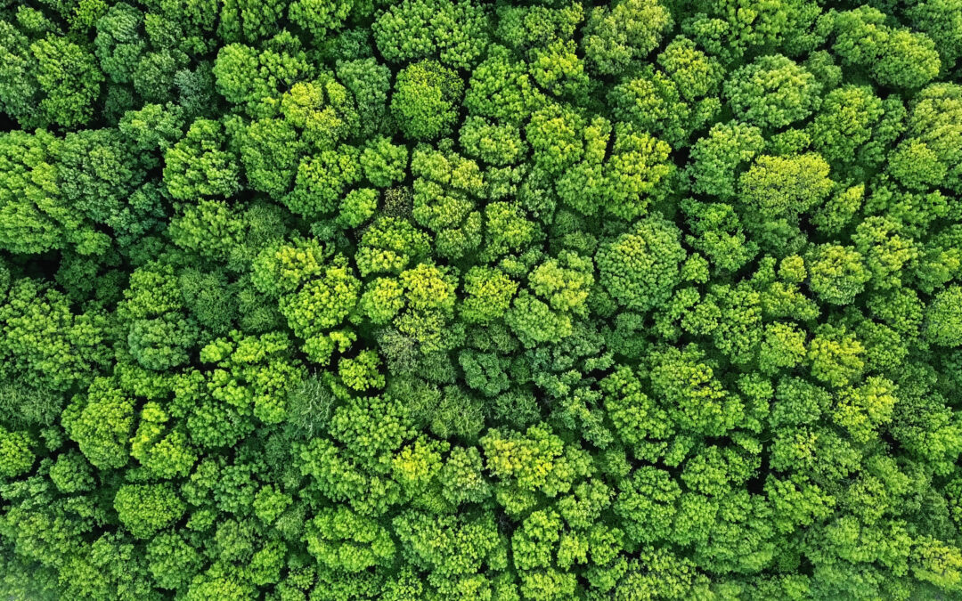 ASI评估中的“外部沟通”条款：如何助你应对？