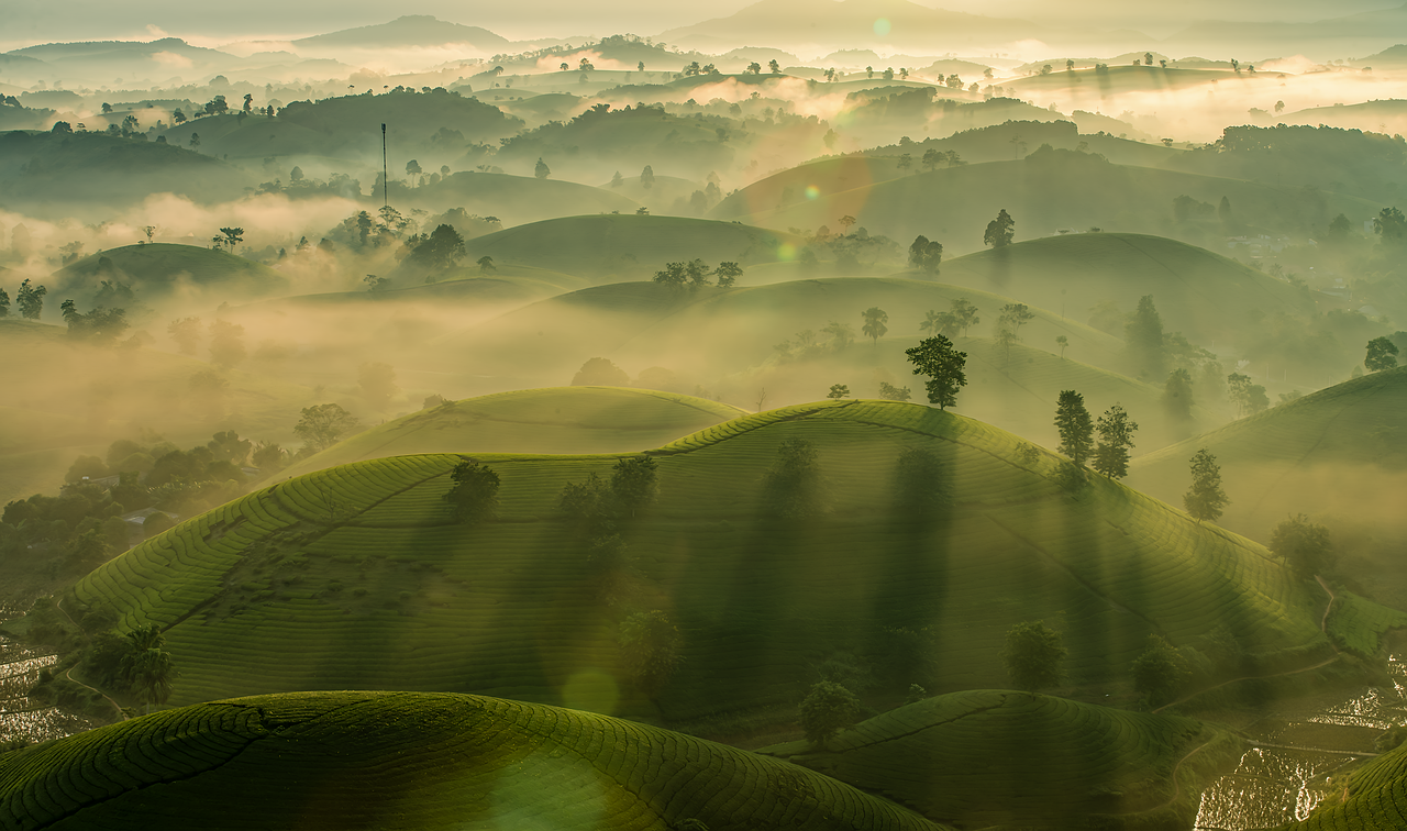 CBAM对供应链管理的冲击：从采购到报关的全链条升级
